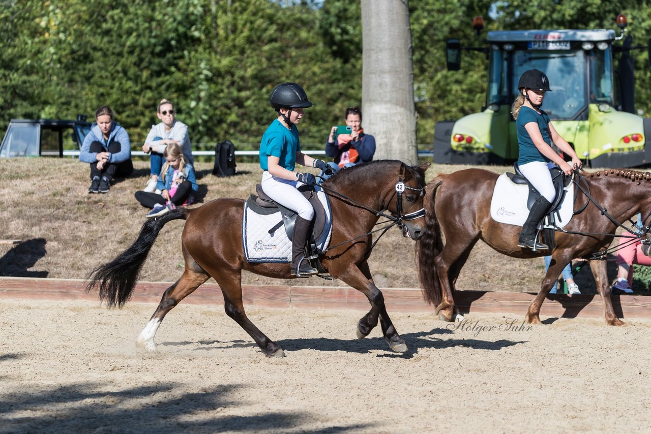 Bild 61 - Pony Akademie Turnier